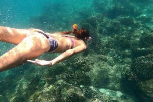 Luxury Snorkeling Tour in Cabo San Lucas - Stop 1 at the Arch of Cabo: sea lions, pelicans, and Lovers Beach photos