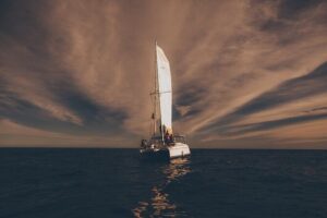 Luxury Whale Watch Cruise to The Arch Los Cabos - Price and Value: What Your $95 Buys (and What’s Extra)