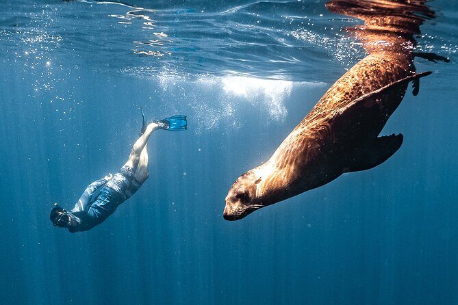 Open Ocean Safari and Whale Watching - The small group factor (max 10) and why it matters