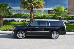 Private Arrival Luxury Transfer: San Jose International Airport to Hotels (1 - 5) - How pickup works at San Jose International Airport