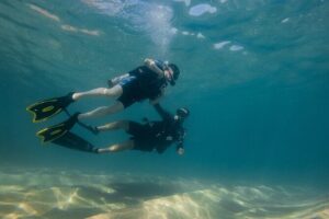 Private Beginner Scuba Diving Experience in Cabo San Lucas - Private Instructor on a Shared Boat: How You Actually Get Personalized Attention
