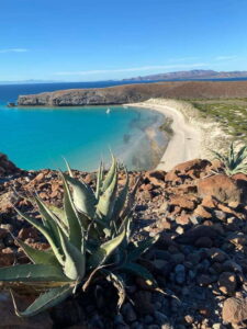 Private experience from Cabo San Lucas to La Paz: (Balandra beach) - Pickup Options and the Comfort You’ll Notice Fast