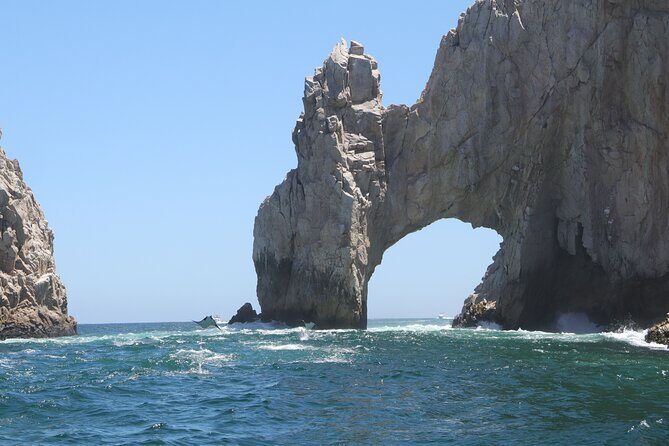 Private Tour to the Arch of Cabo San Lucas by Glass Bottom Boat - Dock D meeting point and the small logistics that can trip you up