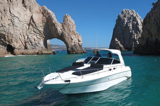 Private Whale Watching on Luxury Yacht in Cabo San Lucas - Meeting at  Local A Tesoro Hotel: show up ready for an 8:00 am start