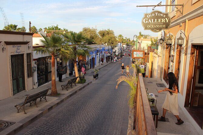 San Jose del Cabo Historic District Walking Tour - A 4-Hour Historic District Walk That Leaves Time for Your Own Cabo Plans