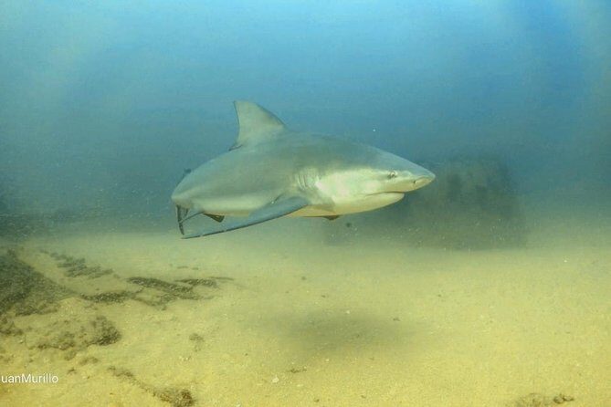 Scuba Diving adventure Cabo pulmo - The 8:00am start and how your 5-hour schedule usually feels