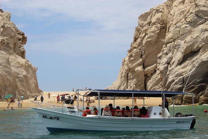 Shared ride to the arch of Cabo San Lucas - Wildlife Highlights: Sea Lions, Pelicans, and Fish Close to the Boat