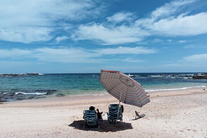 Snorkel Adventure and Hike to a Hidden Beach - Shore snorkeling in the Sea of Cortez: fish, reef, and safety
