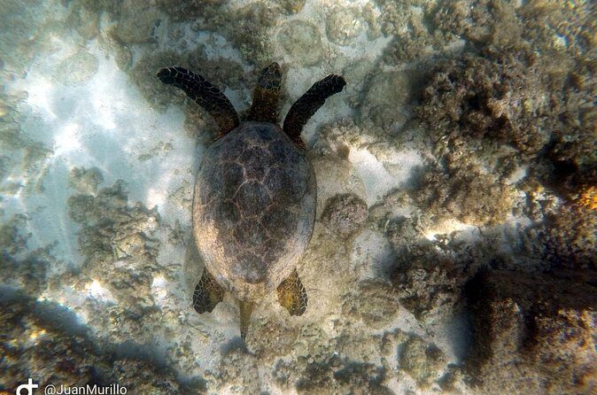Snorkeling Adventure Cabo Pulmo - Small Group Size (Max 24): Why It’s Better Than the Big-Bus Style