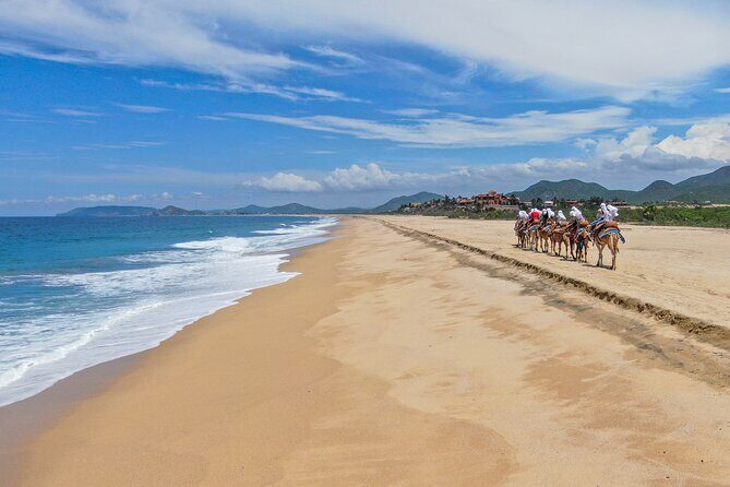 Sunset beach Camel ride with Mexican Buffet and Tequila Tasting - Who This Cabo Camel Sunset Tour Is Best For