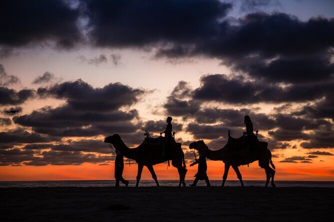 Sunset beach Camel ride with Mexican Buffet and Tequila Tasting - Mexican Buffet at Sunset Time: What’s Included and What to Watch