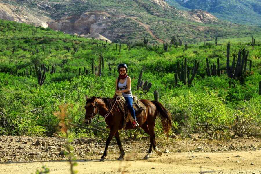 Tacos and Horseback Riding at Migriño beach - Stop 1 in Cabo San Lucas: start strong, ask the right questions