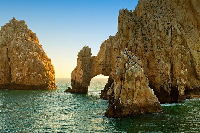 Tour to Arch in the only Clear Boat in Cabo Cruise Hotel PICKUP! - What You’ll See: El Arco, Pelican Rock, and the Beach Stops