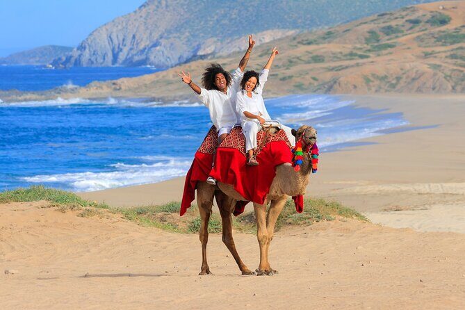 UTV Adventure with Free Camel Ride and Sky Bikes - What the $175 Price Really Means in Cabo