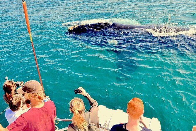 Whale Watching and Cabo San Lucas Arch - The Arch of Cabo San Lucas: your main landmark stop