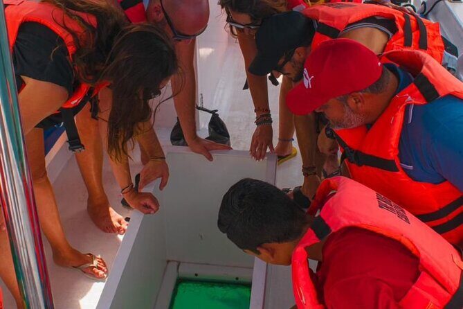 Whale Watching Experience in Cabo San Lucas 2 hours - Small Group Size and English Options: What That Means for Your Experience