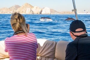 Whale Watching in Cabo San Lucas on board our Luxury Trimaran! - A 2-Hour Float Around Cabo’s Bay and Pacific Side