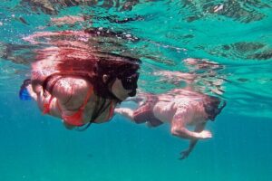 Whale Watching & Snorkeling Combo in Los Cabos with Photos Included - Getting There: The Baja Vikings Ecoventures Marina Start