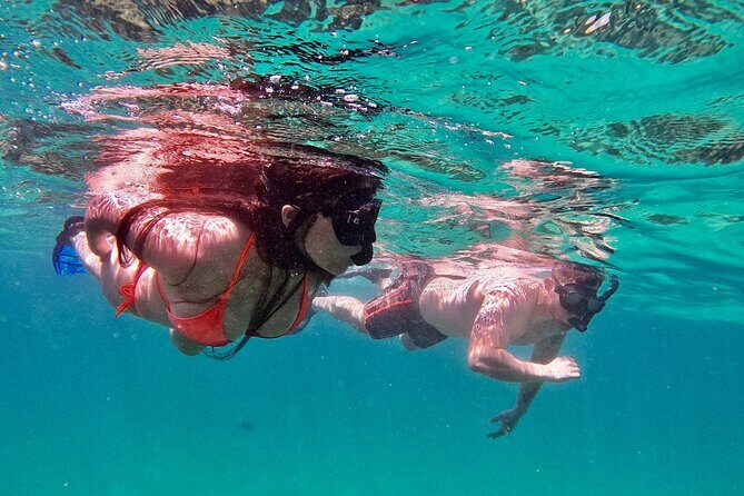 Whale Watching & Snorkeling Combo in Los Cabos with Photos Included - Getting There: The Baja Vikings Ecoventures Marina Start